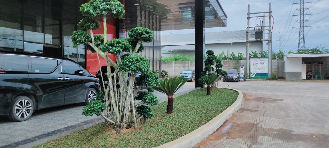 Jasa Taman Murah Depok