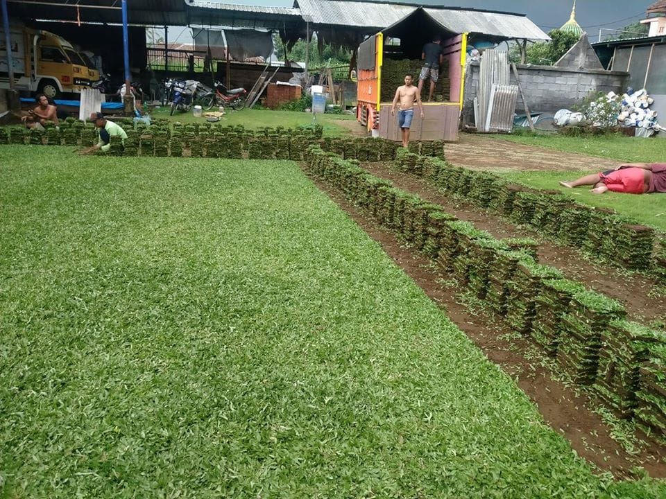Jasa Taman Jakarta Barat