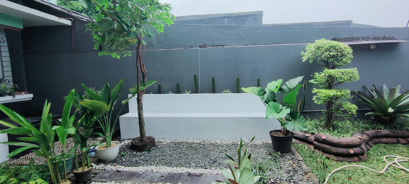 Jasa Taman Murah