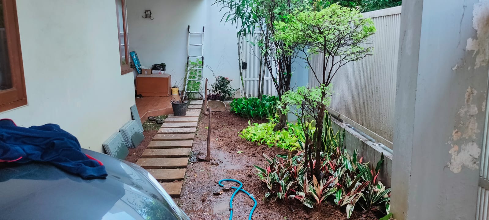 Tukang Taman Profesional