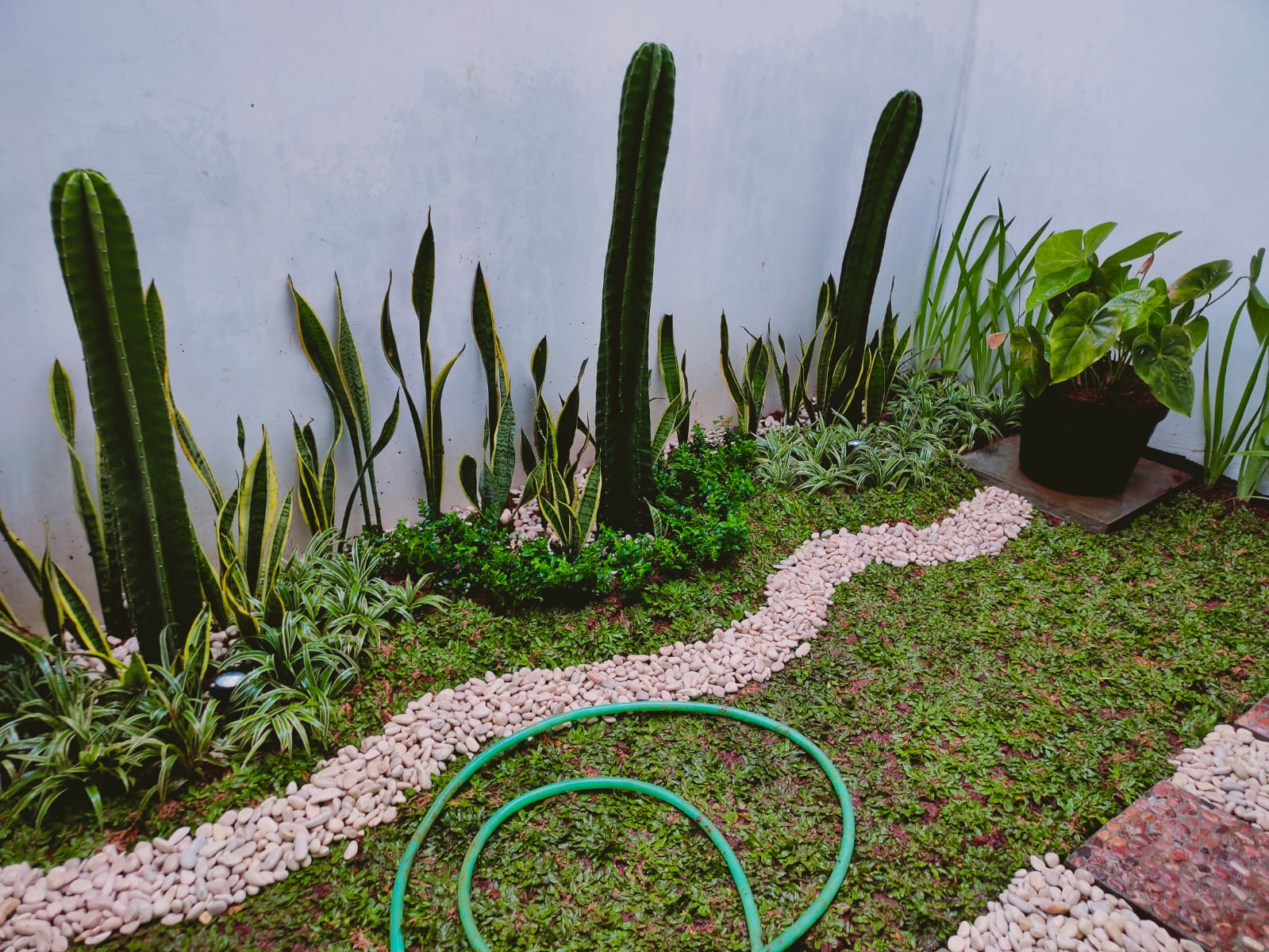 Jasa Taman Tanggerang,Tukang Taman Murah