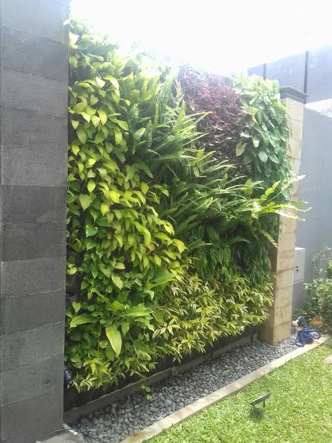 apa itu vertikal garden, jasa taman, tukang taman, jasa pasang rumput, tukang taman profesional,Jasatamankita Tangerang