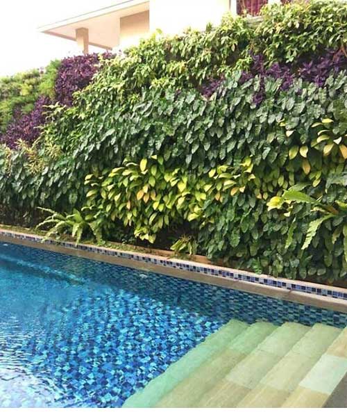 jasa taman, Keuntungan Membuat Taman Vertikal, jasa taman, tukang taman, jasa pasang rumput, tukang taman profesional