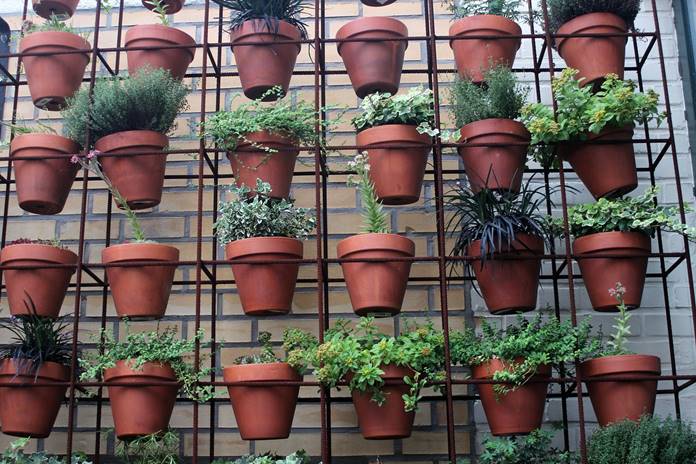 Tips Memilih Pot yang Tepat untuk Tanaman